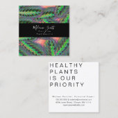Pflanze Maranta Gebet Calathea Illustration Quadratische Visitenkarte (Vorne/Hinten)