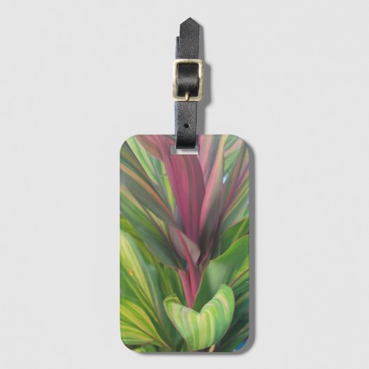 Pflanze Mehr Gepäckanhänger (Vorderseite Vertikal)