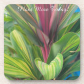 Pflanze Mehr Getränkeuntersetzer (Vorderseite)