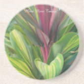 Pflanze Mehr Getränkeuntersetzer (Vorne)