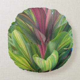 PFLANZE MEHR RUNDES KISSEN