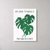 Pflanze Mexiko Grüne Monstrera-Hauspflanze Leinwanddruck (Vorderseite)