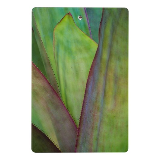 Pflanze Mini Klemmbrett (Rückseite)