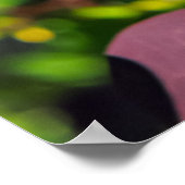 Pflanze mit dunkelroten Blätter Poster (Ecke)