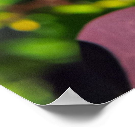 Pflanze mit dunkelroten Blätter Poster (Ecke)