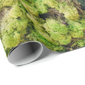 Pflanze mit grüner Blattfarbe Geschenkpapier (Rolleneckpunkt)