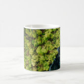 Pflanze mit grüner Blattfarbe Kaffeetasse (Mittel)