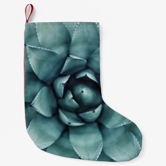 Pflanze mit grüner Blattfarbe Kleiner Weihnachtsstrumpf (Vorderseite)