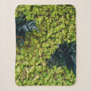 Pflanze mit grüner Blattfarbe Sherpadecke
