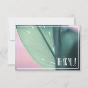 Pflanze mit hellgrünen Blättern Dankeschön-Flatcar