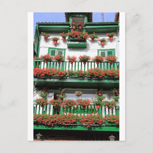 Pflanze mit rotem Blumentopf, malerischer spanisch Postkarte (Vorderseite)