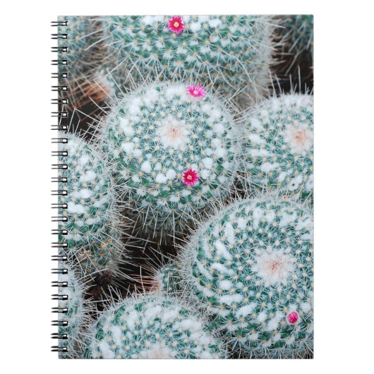 Pflanze mit Tiny Pink Blume Notizblock (Vorderseite)