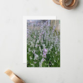 Pflanze Mitteilungskarte (Vorderseite/Rückseite Beispiel)