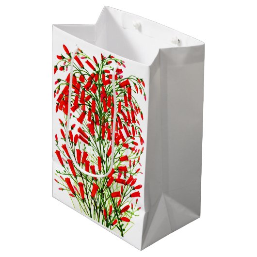 Pflanze Mittlere Geschenktüte (Vorderseite Schrägansicht)