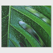 Pflanze Monstera Geschenkpapier (Flach)