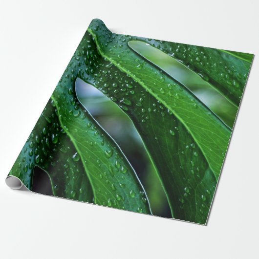 Pflanze Monstera Geschenkpapier (Ungerollt)