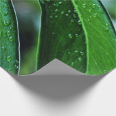 Pflanze Monstera Geschenkpapier (Ecke)