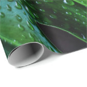 Pflanze Monstera Geschenkpapier (Rolleneckpunkt)