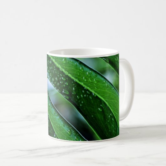 Pflanze Monstera Kaffeetasse (VorderseiteRechts)