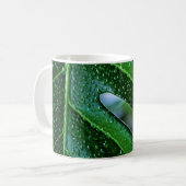 Pflanze Monstera Kaffeetasse (Vorderseite Links)
