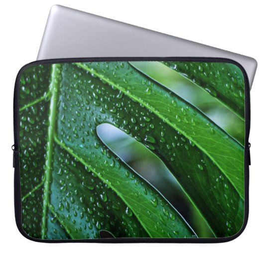 Pflanze Monstera Laptopschutzhülle (Vorderseite)
