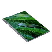 Pflanze Monstera Notizblock (Rechte Seite)