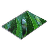 Pflanze Monstera Notizblock (Linke Seite)