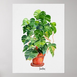 Pflanze Monstera Poster