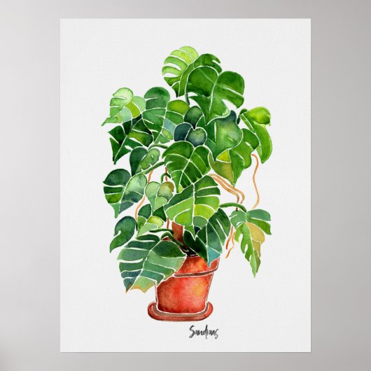 Pflanze Monstera Poster (Vorne)