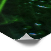 Pflanze Monstera Poster (Ecke)