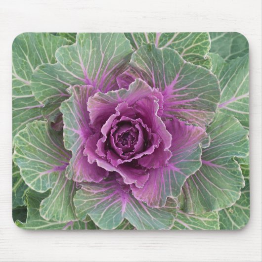 Pflanze Mousepad (Vorne)