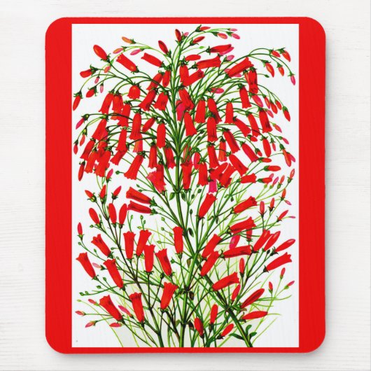 Pflanze Mousepad (Vorne)