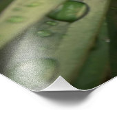 Pflanze Nah Fotodruck (Ecke)