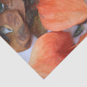 Pflanze Orange Chinesische Lanterns Seidenpapier (Ausschnitt)
