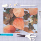 Pflanze Orange Chinesische Lanterns Seidenpapier (Handwerk)