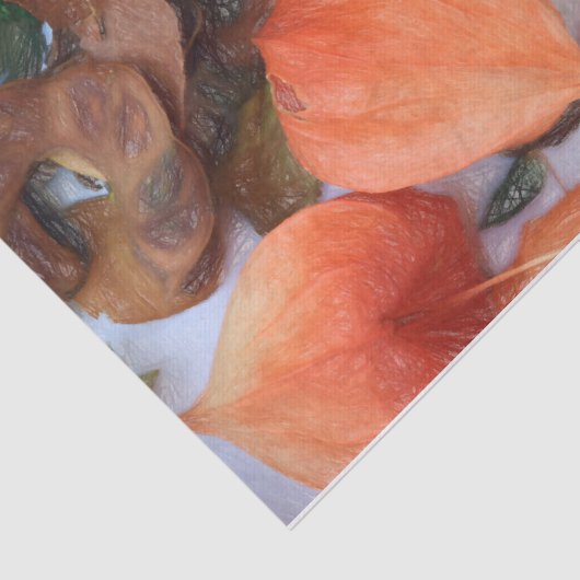 Pflanze Orange Chinesische Lanterns Seidenpapier (Ausschnitt)