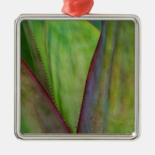 Pflanze Ornament Aus Metall (Vorne)