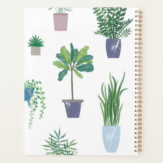 Pflanze Planer (Rückseite)