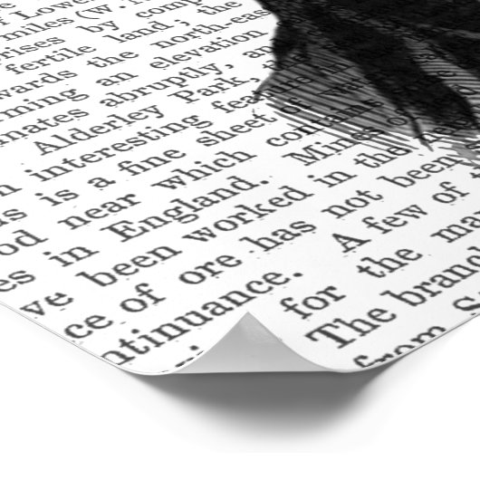 Pflanze Poster (Ecke)