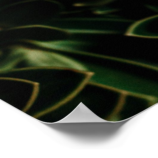 Pflanze Poster (Ecke)