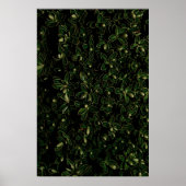 Pflanze Poster (Vorne)