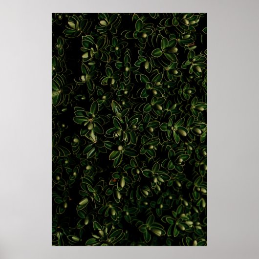 Pflanze Poster (Vorne)