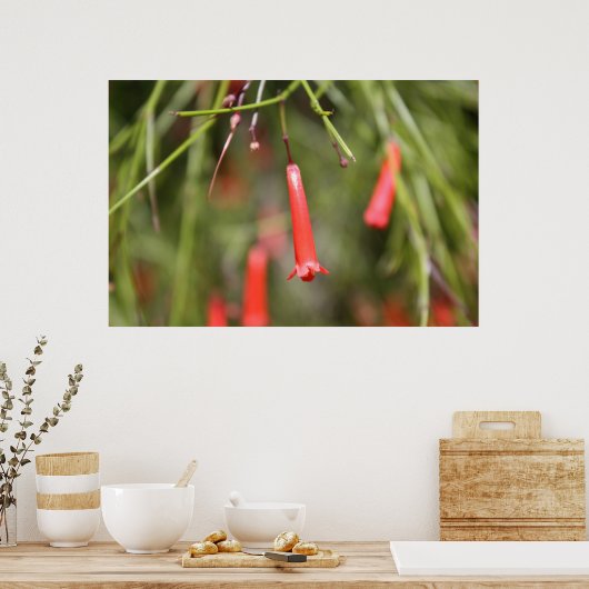 Pflanze Poster (Küche)