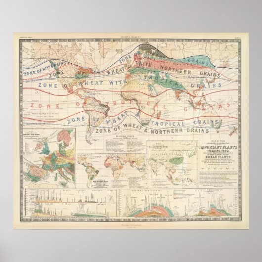 Pflanze Poster (Vorne)