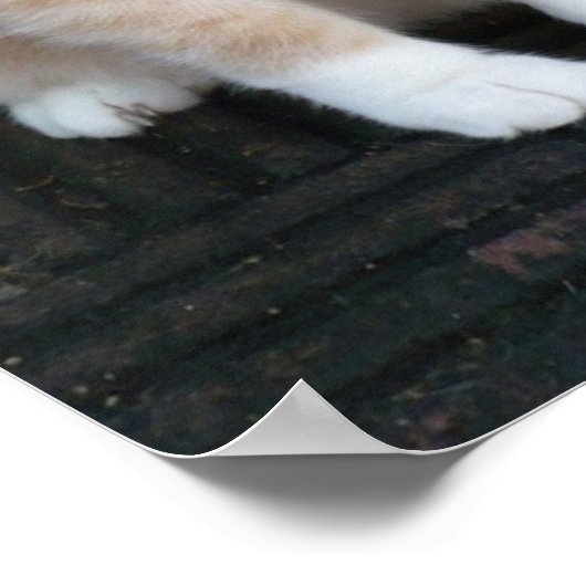 Pflanze Poster (Ecke)