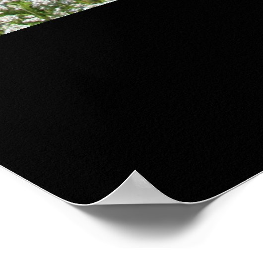 Pflanze Poster erhalten, drucken (Ecke)