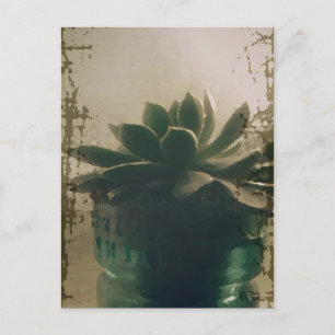 Pflanze Postkarte