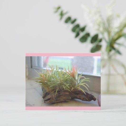 Pflanze Postkarte (Stehend Vorderseite)