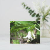 Pflanze Postkarte (Stehend Vorderseite)