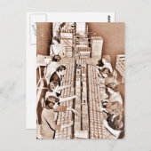 Pflanze Postkarte (Vorne/Hinten)